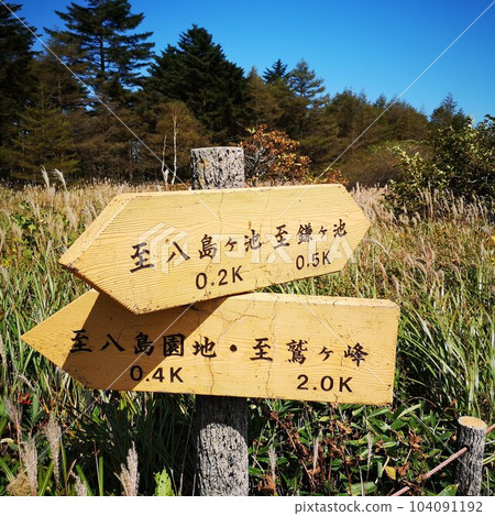 Kurumayama Yashimagahara Marsh 104091192