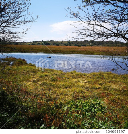 Kurumayama Yashimagahara Marsh 104091197