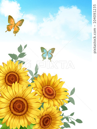 向日葵、蝴蝶和藍天 104091235