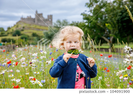 Cute toddler girl with Irish cloverleaf lollipop with Rock of Cashel castle on background. Happy healthy child on flower meadow eating unhealthy sweets. Family and small children vacations in Ireland 104091900