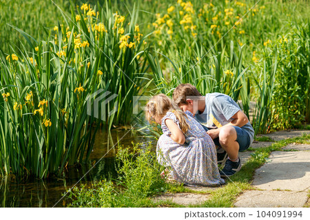 School kid boy and little sister, preschool girl playing together in park. Two happy children play and having fun sunny summer day. Siblings in love. Lovely sister and brother. 104091994