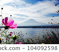 Mt.Fuji, cosmos and lake scenery in autumn 104092598