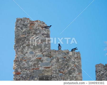 Three crows on the edge of a stone building in an old castle Three crows on the edge of a stone building in an old castle 104093381