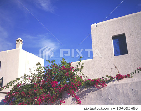 Greece Mykonos white building and bougainvillea, blue sky 104093480