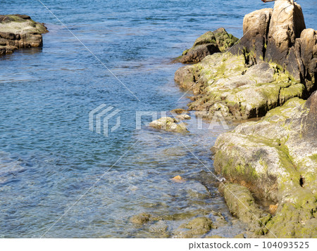 Calm and beautiful sea rocky beach. 104093525