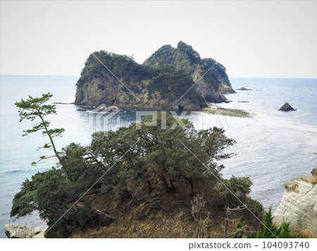 2月靜岡縣堂島的風景 104093740