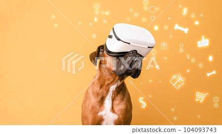Boxer dog in VR glasses against online shopping symbols Boxer dog in VR glasses against online shopping symbols 104093743