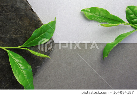 Raw tea leaves and stone plate 104094197