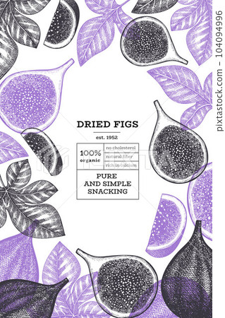 Hand drawn fig fruits design template. Organic fresh food vector illustration. Retro fig fruit banner. 104094996