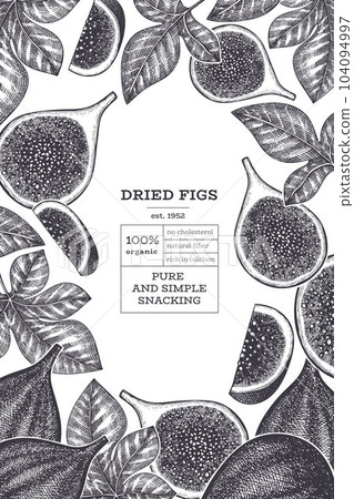 Hand drawn fig fruits design template. Organic fresh food vector illustration. Retro fig fruit banner. Hand drawn fig fruits design template. Organic fresh food vector illustration. Retro fig fruit banner. 104094997