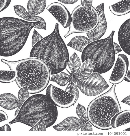 Hand drawn fig fruits seamless pattern. Organic fresh food vector illustration. Retro fig fruit background. Hand drawn fig fruits seamless pattern. Organic fresh food vector illustration. Retro fig fruit background. 104095001