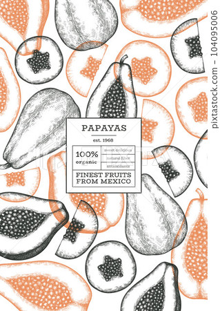 Hand drawn sketch style papaya banner. Organic fresh fruit vector illustration. Retro fruit design template 104095006