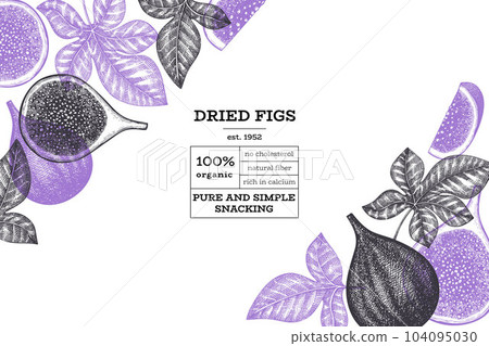 Hand drawn fig fruits design template. Organic fresh food vector illustration. Retro fig fruit banner. Hand drawn fig fruits design template. Organic fresh food vector illustration. Retro fig fruit banner. 104095030