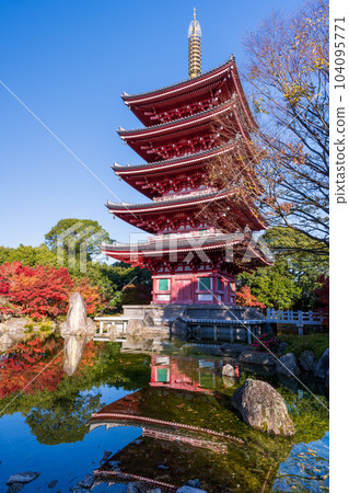 A five-storied pagoda with beautiful autumn leaves and the scenery reflected in the pond ``Rengein Tanjoji'' Tamana City A five-storied pagoda with beautiful autumn leaves and the scenery reflected in the pond ``Rengein Tanjoji'' Tamana City 104095771