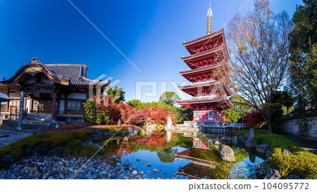 Five-storied pagoda and main hall scenery (panorama) ``Rengein Tanjyo-ji Temple'' Tamana City, Japan Five-storied pagoda and main hall scenery (panorama) ``Rengein Tanjyo-ji Temple'' Tamana City, Japan 104095772