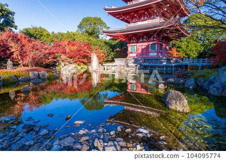 在清澈的秋葉中閃耀的五層寶塔;倒映在池塘中的風景,玉名市'蓮花院炭火寺' 在清澈的秋葉中閃耀的五層寶塔;倒映在池塘中的風景,玉名市'蓮花院炭火寺' 104095774