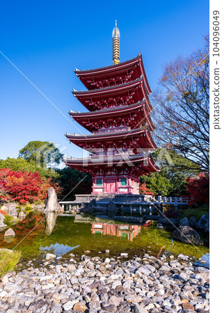 五層寶塔和秋日晴朗的紅葉風景``Rengein Tanjoji'' 玉名市 104096049