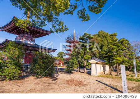 秋日晴朗時寺院入口的入口景觀“Rengein Tanjoji”,塔馬納市 秋日晴朗時寺院入口的入口景觀“Rengein Tanjoji”,塔馬納市 104096459