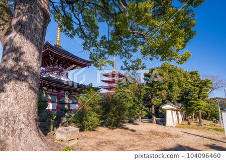 在陽光明媚的秋日，從通往寺廟區域的途徑欣賞寺廟的全景 ``Rengein Tanjoji'' 玉名市 104096460