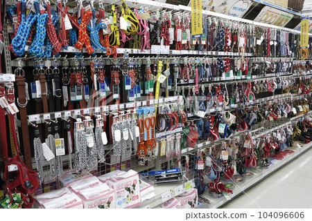 Pet supplies department, collar, home center 104096606