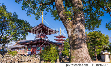 秋日晴朗時，從院內入口處看到的多寶塔和五層塔風景 ``煉金院丹上寺'' 玉名市 104096616