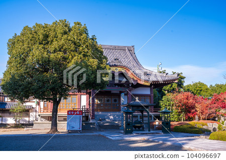 在晴朗的秋日從通往院區的道路上看到的主寺 ``Rengein Tanjoji'' 玉名市 104096697
