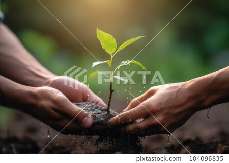 Two hands holding water and watering young tree. Earth day concept. Generative AI Two hands holding water and watering young tree. Earth day concept. Generative AI 104096835