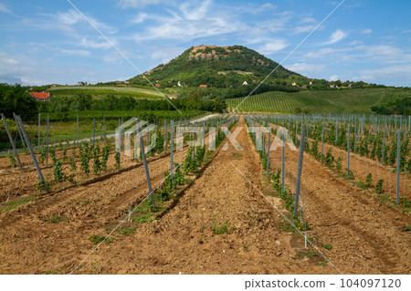 Agricultural landscape from Hungary, the mountain Csobanc 104097120