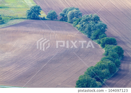 Freshly cultivated field with a beautiful row of trees 104097123
