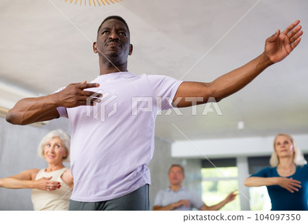 Group of multiethnic mature people dancing classical dance 104097350