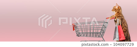 Cat with a shopping cart on a colored background. 104097729
