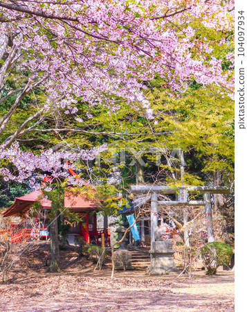 栃木縣那須鹽原市 烏森神社 春景 104097934