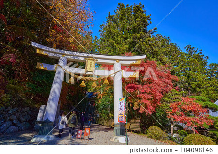 秋季埼玉縣長瀞市寶登山神社第二鳥居和秋葉 秋季埼玉縣長瀞市寶登山神社第二鳥居和秋葉 104098146