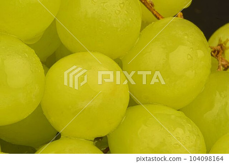 Close-up of fresh green grapes. Ripe green grapes. Close-up of fresh green grapes with water drops. Macro horizontal image. 104098164