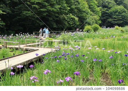 東京都青梅市吹上書武公園 104098686