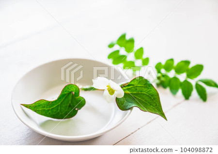 Dokudami flowers in a small plate 104098872