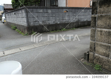 dangerous bend 104099137