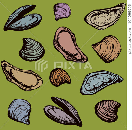 Oyster. Vector drawing 104099906