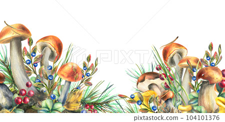 Forest mushrooms, boletus, chanterelles and blueberries, lingonberries, twigs, cones, leaves. Watercolor illustration, hand drawn template on a white background. 104101376
