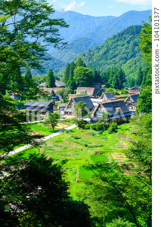 五箇山/相倉合掌造村（夏季） 104101377
