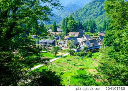 五箇山/相倉合掌造村(夏季) 五箇山/相倉合掌造村(夏季) 104101380