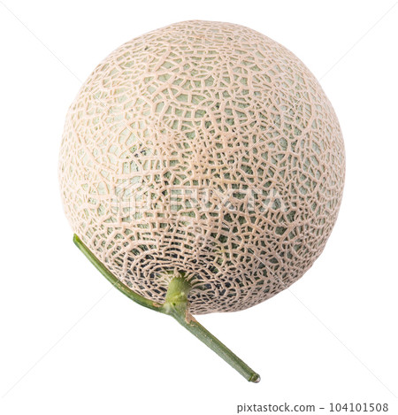 cantaloupe melon isolated on a white background 104101508