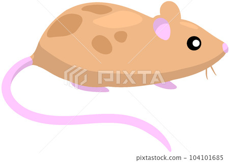 color mouse 104101685