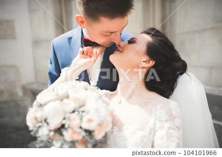 Perfect couple bride, groom posing and kissing in their wedding day 104101966