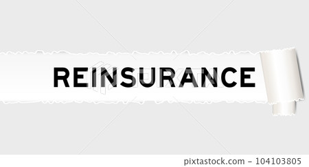 Ripped gray paper background that have word reinsurance under torn part 104103805