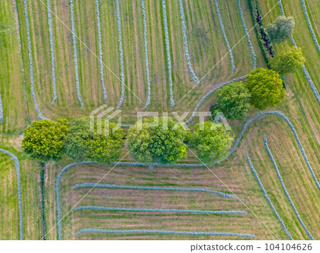 Colorful patterns in crop fields at farmland, aerial view, drone photo. Abstract geometric shapes of 104104626