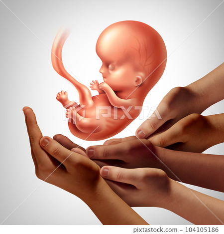 Synthetic Embryo 104105186