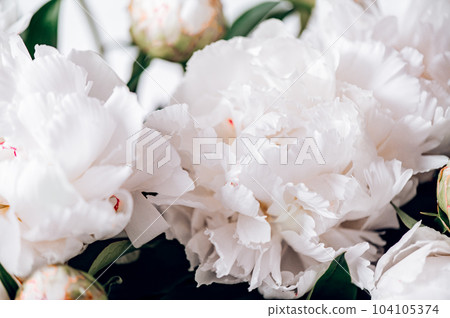 Amazing Fresh bunch of white and pink peonies 104105374