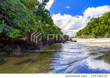 Paradisiacal and preserved beach in Itacare 104106256