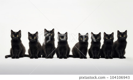 The group of black cats on the white isolated background The group of black cats on the white isolated background 104106943